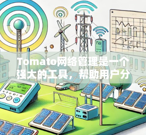 Tomato网络管理是一个强大的工具，帮助用户分析和管理网络流量。以下是使用Tomate进行网络流量分析的详细步骤
