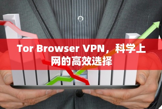 Tor Browser VPN，科学上网的高效选择
