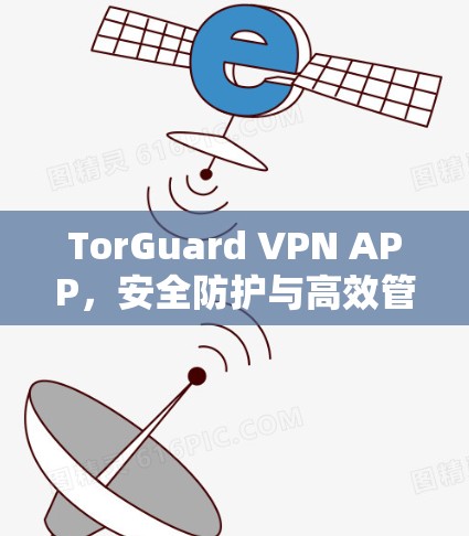 TorGuard VPN APP,安全防护与高效管理的高效解决方案 TorGuard VPN APP,安全防护与高效管理的高效解决方案
