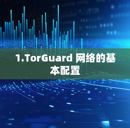 1.TorGuard 网络的基本配置 1.TorGuard 网络的基本配置