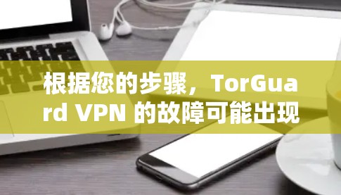 根据您的步骤，TorGuard VPN 的故障可能出现在以下步骤中