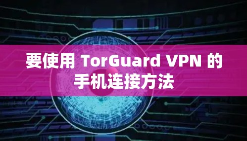 要使用 TorGuard VPN 的手机连接方法