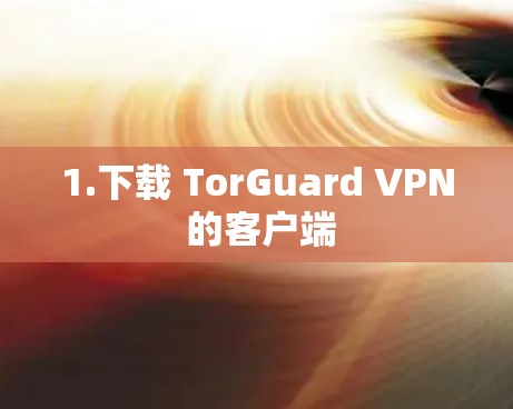 1.下载 TorGuard VPN 的客户端 1.下载 TorGuard VPN 的客户端