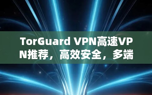 TorGuard VPN高速VPN推荐，高效安全，多端支持，为您的加密世界保驾护航！