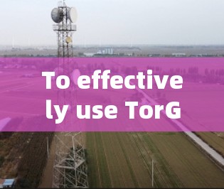 To effectively use TorGuard VPNs official app,follow these organized steps: