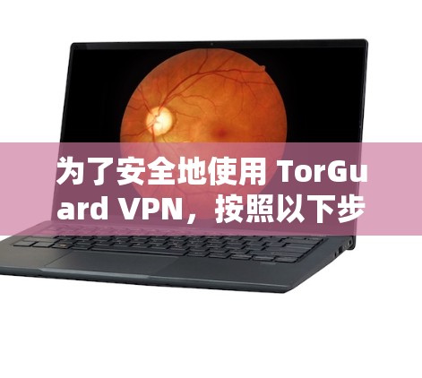 为了安全地使用 TorGuard VPN，按照以下步骤进行操作