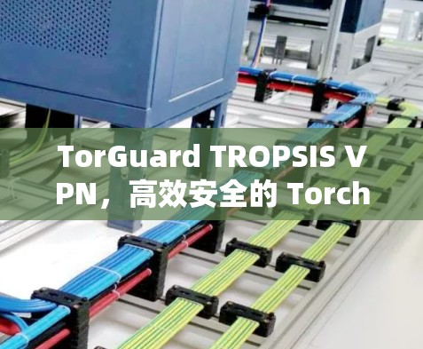 TorGuard TROPSIS VPN，高效安全的 Torches 系列 VPN 服务