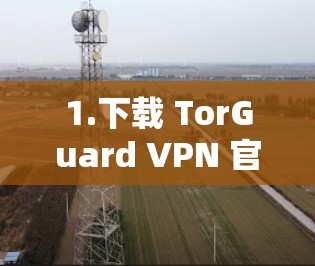 1.下载 TorGuard VPN 官网安装文件