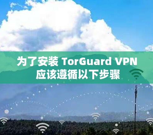 为了安装 TorGuard VPN 应该遵循以下步骤