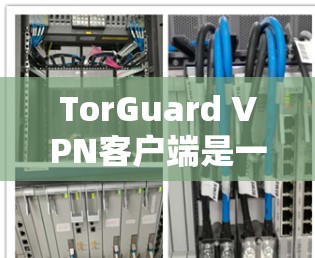 TorGuard VPN客户端是一个支持多种语言的VPN客户端软件，旨在为用户提供安全、便捷的VPN体验。以下是其主要特点和功能