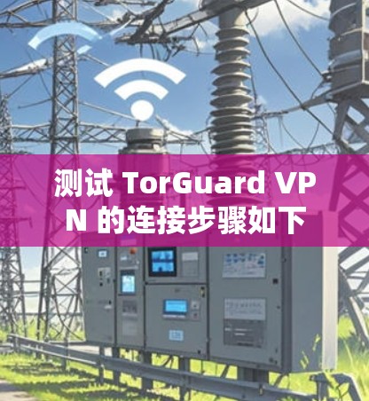 测试 TorGuard VPN 的连接步骤如下