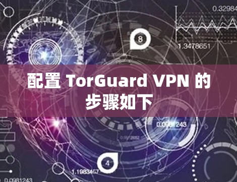 配置 TorGuard VPN 的步骤如下 配置 TorGuard VPN 的步骤如下