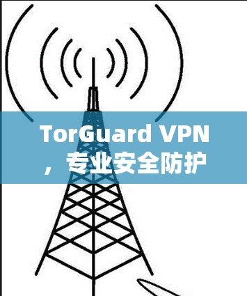 TorGuard VPN，专业安全防护与威胁分析