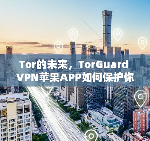 Tor的未来,TorGuard VPN苹果APP如何保护你的网络 Tor的未来,TorGuard VPN苹果APP如何保护你的网络