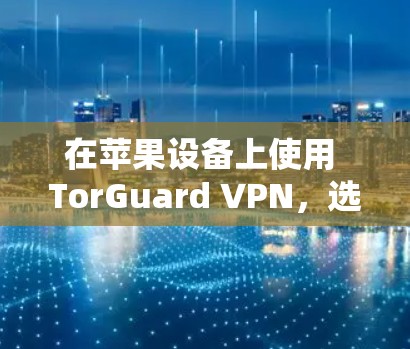 在苹果设备上使用 TorGuard VPN，选择合适的版本和参数至关重要。以下是详细的推荐和步骤