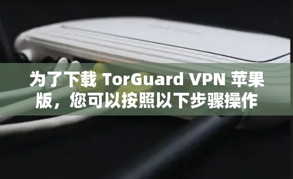 为了下载 TorGuard VPN 苹果版，您可以按照以下步骤操作
