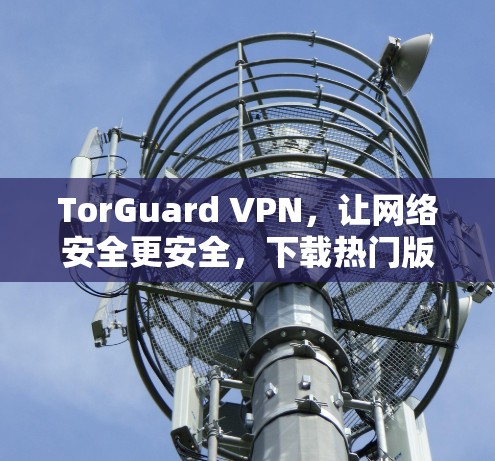 TorGuard VPN，让网络安全更安全，下载热门版本，不容错过！