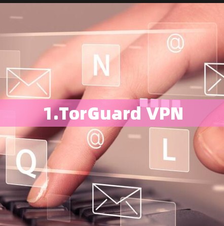 1.TorGuard VPN 1.TorGuard VPN