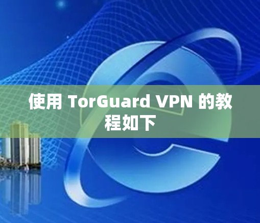 使用 TorGuard VPN 的教程如下 使用 TorGuard VPN 的教程如下