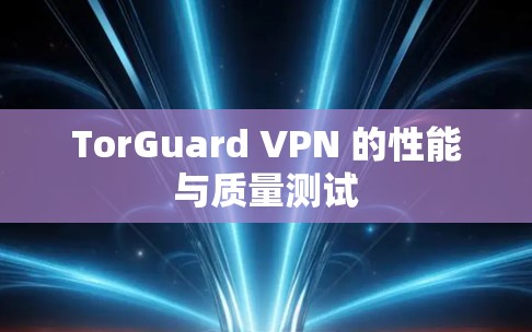 TorGuard VPN 的性能与质量测试