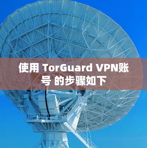 使用 TorGuard VPN账号 的步骤如下