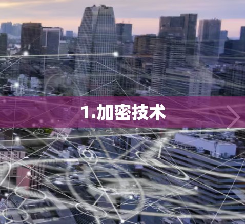1.加密技术