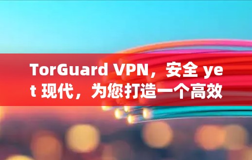 TorGuard VPN，安全 yet 现代，为您打造一个高效且可靠的VPN解决方案