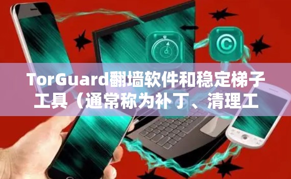 TorGuard翻墙软件和稳定梯子工具（通常称为补丁、清理工具等）在解决翻墙问题时有不同的作用和用途。以下是对这两种工具的详细介绍