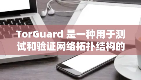 TorGuard 是一种用于测试和验证网络拓扑结构的技术，通过模拟网络中的数据流量来确保网络的正确性和稳定性。以下是关于 TorGuard 的详细分步指南