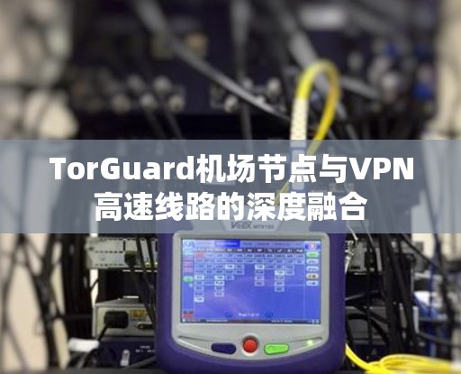 TorGuard机场节点与VPN高速线路的深度融合