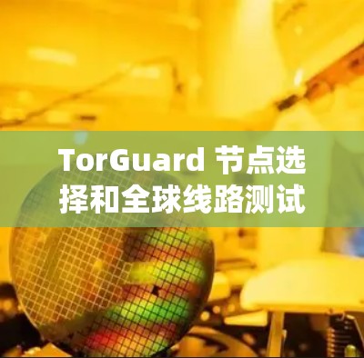 TorGuard 节点选择和全球线路测试是确保 TorGuard 网络的整体安全性和稳定性的关键步骤。以下是对这两个过程的系统总结