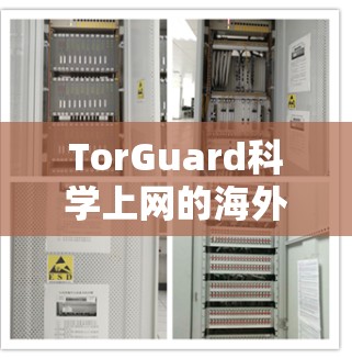 TorGuard科学上网的海外网络访问方案通常涉及到以下几个步骤