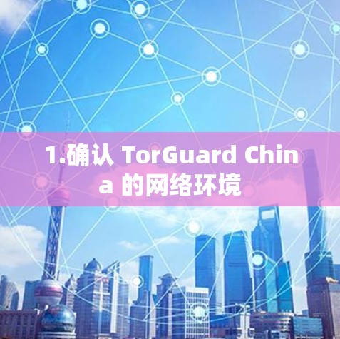 1.确认 TorGuard China 的网络环境