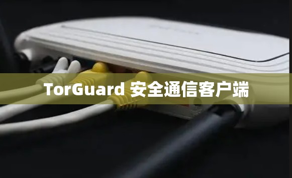 TorGuard 安全通信客户端 TorGuard 安全通信客户端