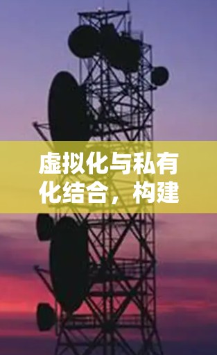 虚拟化与私有化结合，构建高效访问的服务器网络
