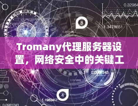 Tromany代理服务器设置，网络安全中的关键工具