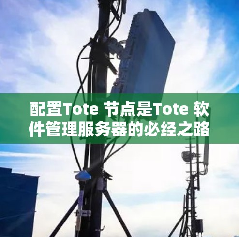 配置Tote 节点是Tote 软件管理服务器的必经之路。以下是详细的步骤指南 配置Tote 节点是Tote 软件管理服务器的必经之路。以下是详细的步骤指南