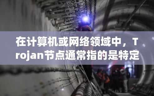 在计算机或网络领域中，Trojan节点通常指的是特定的网络设备或节点，用于特定的网络拓扑或功能需求。以下是一些常见的Trojan节点推荐，涵盖不同子领域