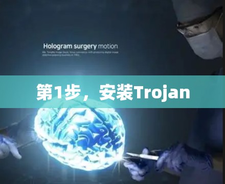 第1步,安装Trojan 第1步,安装Trojan