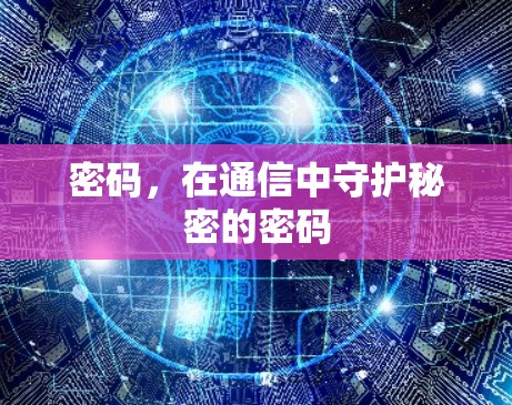 密码，在通信中守护秘密的密码