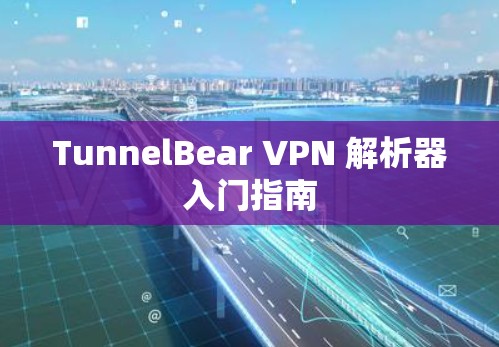 TunnelBear VPN 解析器入门指南 TunnelBear VPN 解析器入门指南