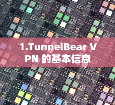 1.TunnelBear VPN 的基本信息