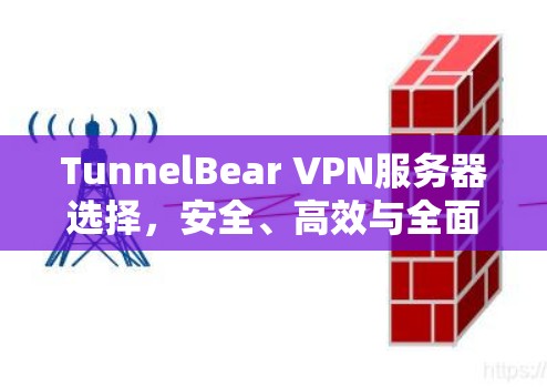 TunnelBear VPN服务器选择，安全、高效与全面防护的综合解决方案