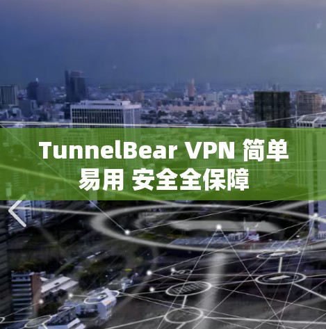 TunnelBear VPN 简单易用 安全全保障