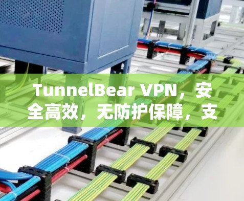 TunnelBear VPN，安全高效，无防护保障，支持多设备