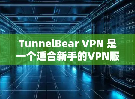 TunnelBear VPN 是一个适合新手的VPN服务，提供端到端加密（E2E）和点对点（APN）功能。以下是使用 TunnelBear VPN 的步骤指南
