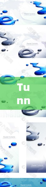 TunnelBear VPN 节点连接检测系统概述
