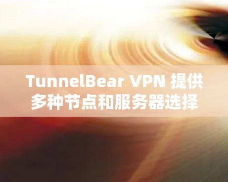 TunnelBear VPN 提供多种节点和服务器选择，满足不同地区和用户需求。以下是对TunnelBear VPN服务器的详细介绍