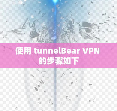 使用 tunnelBear VPN 的步骤如下