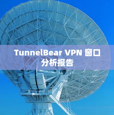 TunnelBear VPN 窗口分析报告